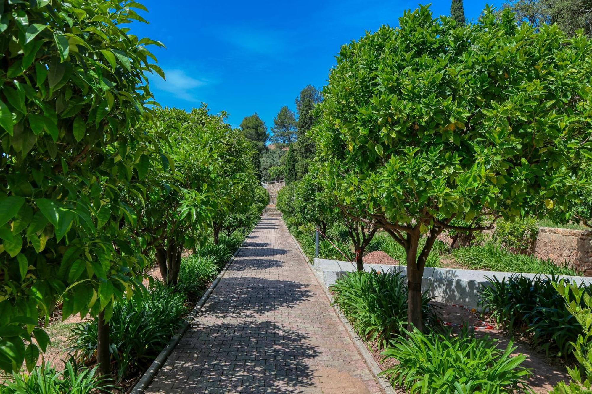 Domaine Des Gueules Cassees Hotel La Valette-du-Var Buitenkant foto