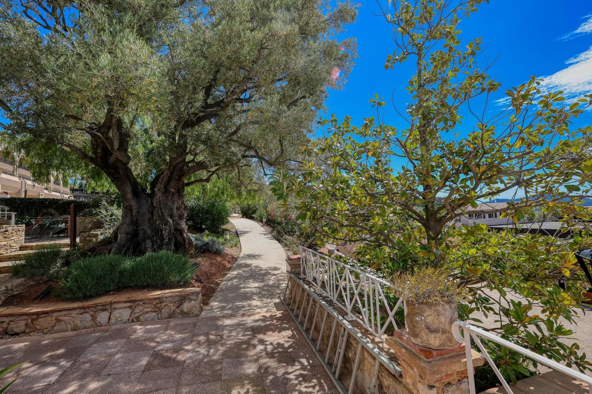 Domaine Des Gueules Cassees Hotel La Valette-du-Var Buitenkant foto