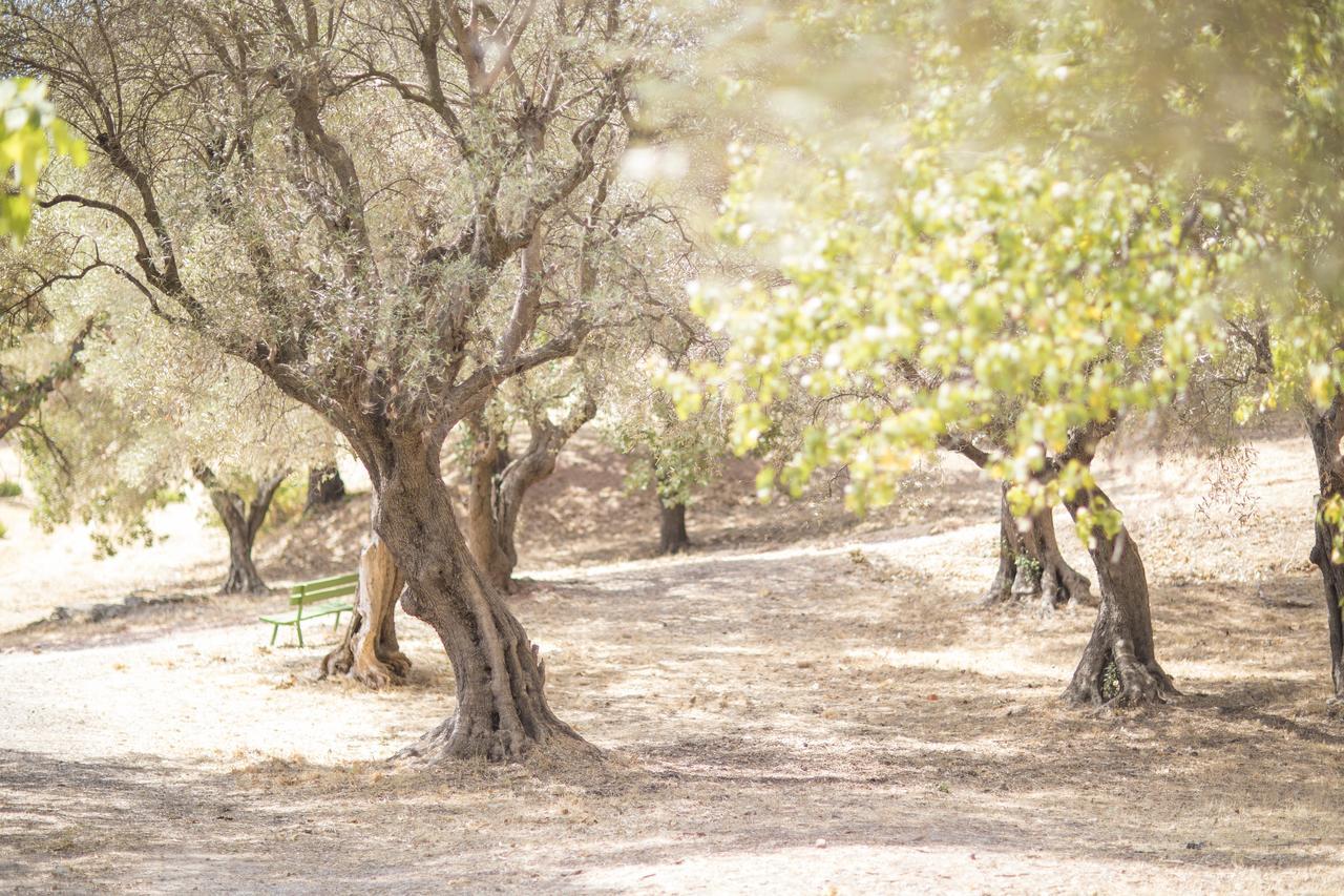 Domaine Des Gueules Cassees Hotel La Valette-du-Var Buitenkant foto